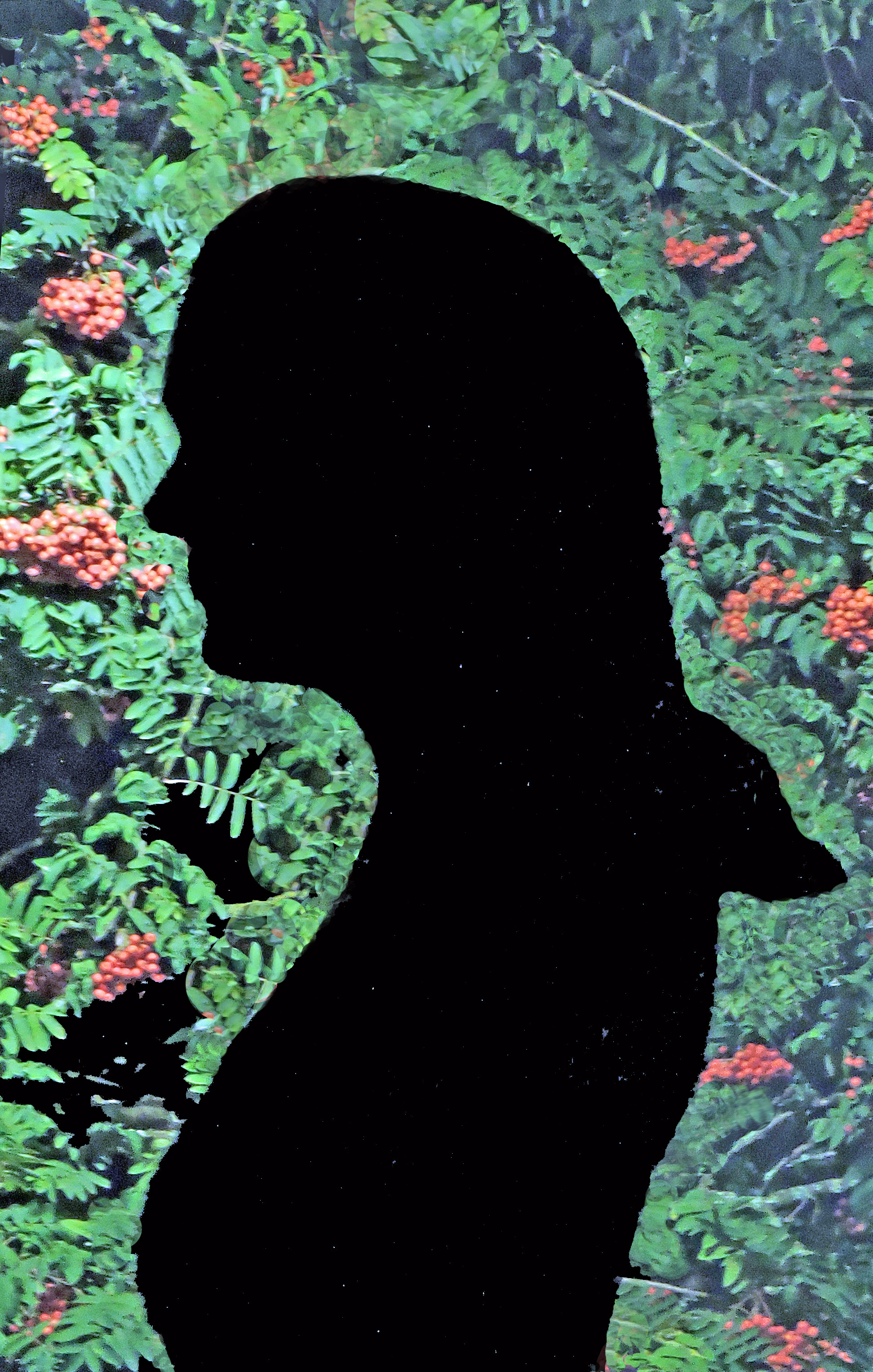 SABRINA SILHOUETTE Bill Bagley Photography